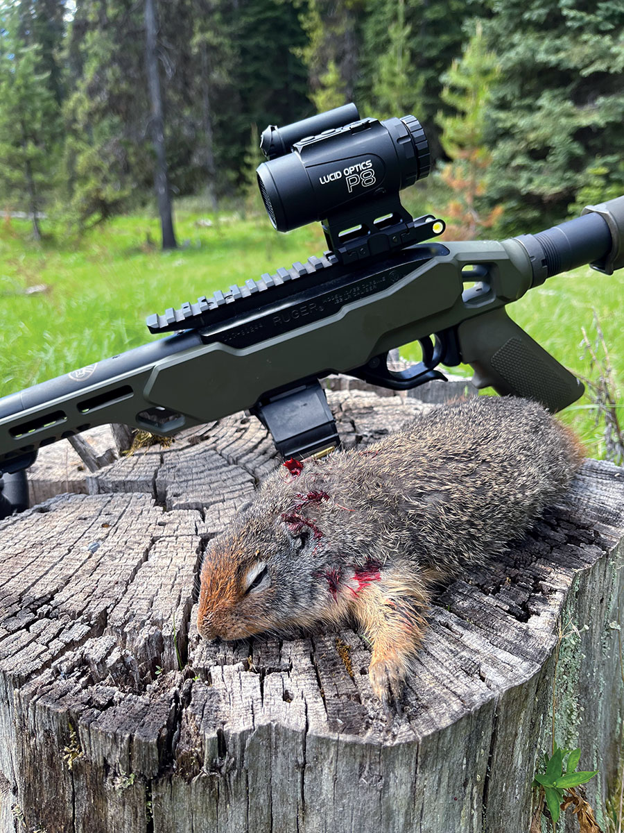 Patrick used Lucid’s P8 Prismatic Combat Sight on a customized Ruger 10/22 rifle while shooting spring ground squirrels. The optic served well, whether taking close 25-yard shots, or stretching out to 100 yards.